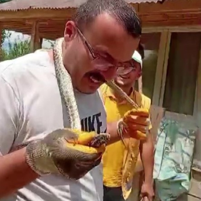 Eve giren yılanı yakalayıp boynuna sardı