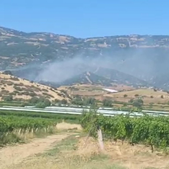 Manisa'da maki yangınında alevler ormana sıçradı