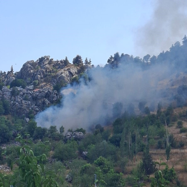 Alanya'da zirai alanda çıkan yangın söndürüldü