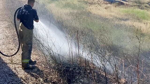 Susurluk'ta arazi ve koruluk alanda çıkan yangın söndürüldü