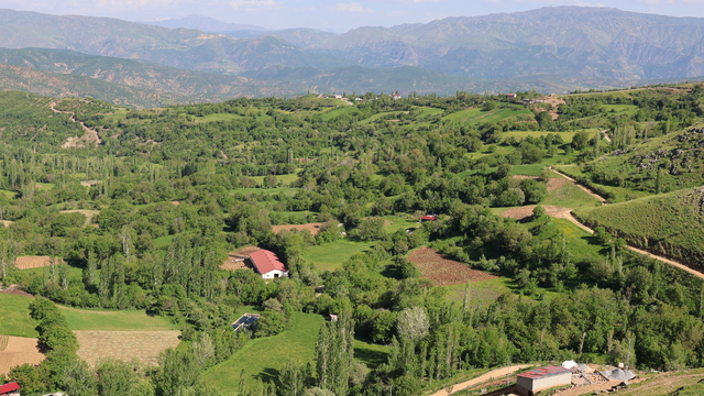 Galeri