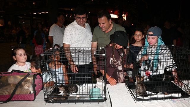 Kemer Belediyesi'nde "Can dostları" için konser