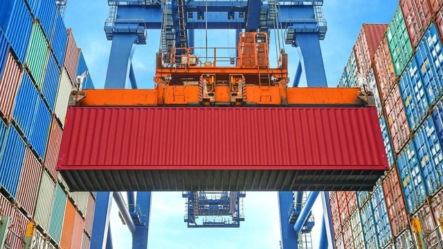 Düzce'den 4 bin 135 ton orman ürünü ihraç edildi
