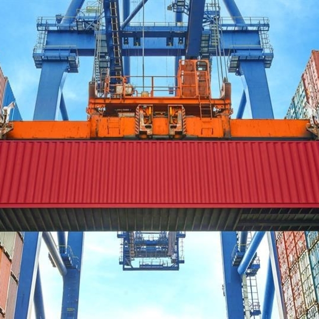 Düzce'den 4 bin 135 ton orman ürünü ihraç edildi