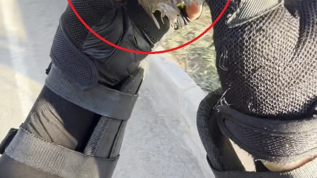 Motokurye, ağzındaki buğday tanesini çıkardığı serçeyi kurtardı