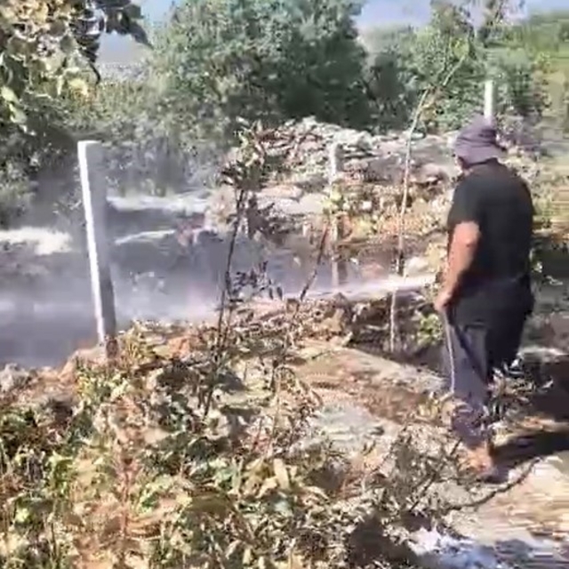 Dicle'de örtü yangını: Onlarca meyve ağacı alevlere teslim oldu