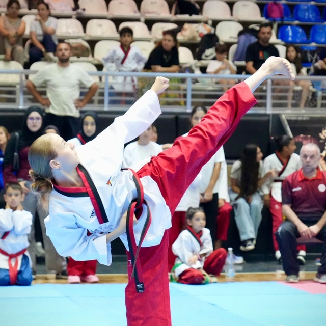Balıkesır'de 15 Temmuz ruhu ile taekwondo poomsae heyecanı başladı