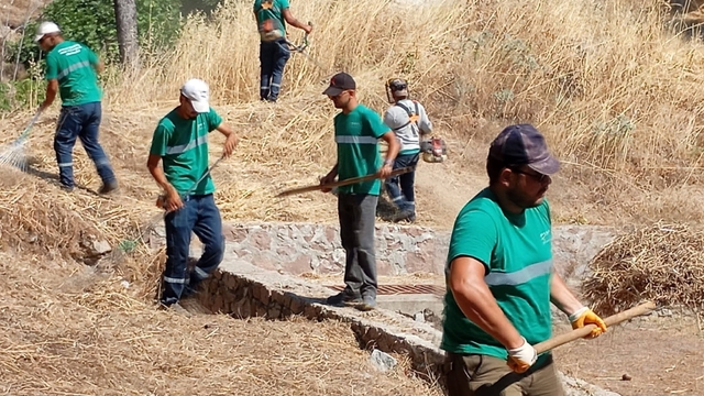 Yangınlara karşı Ayvalık'ta kuru ot temizliği aralıksız sürüyor