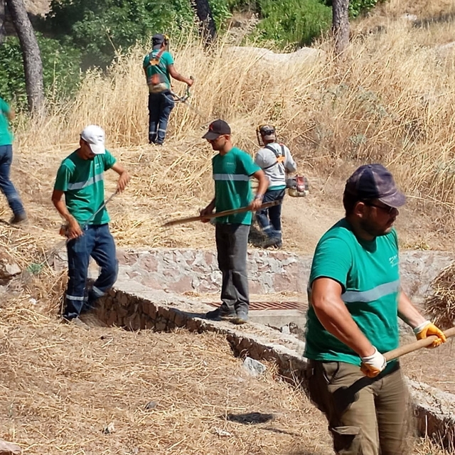 Yangınlara karşı Ayvalık'ta kuru ot temizliği aralıksız sürüyor
