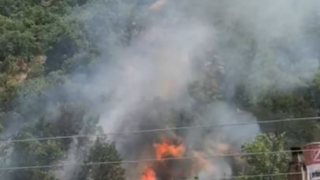 Kastamonu'da orman yangını