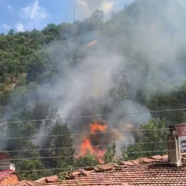 Kastamonu'da orman yangını