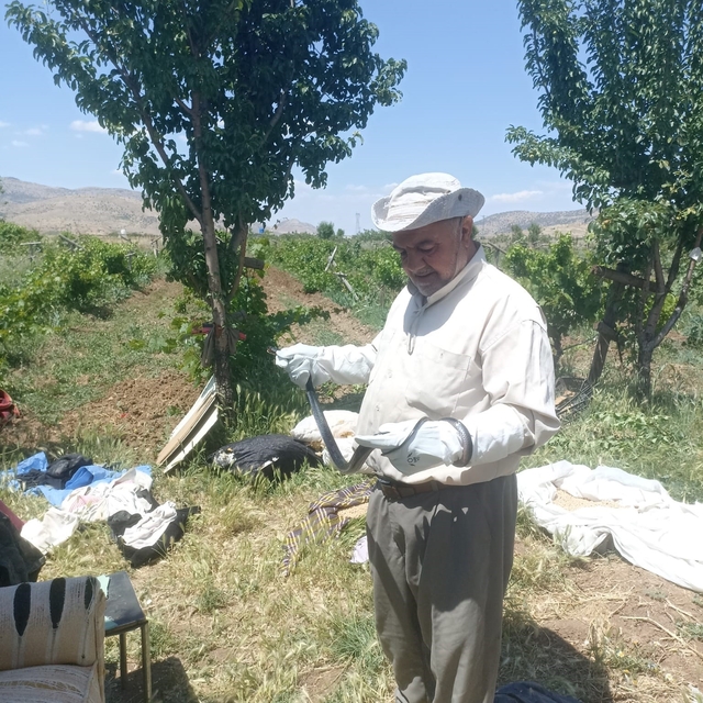 Batman'da bir vatandaş yakaladığı yılanı doğaya bıraktı