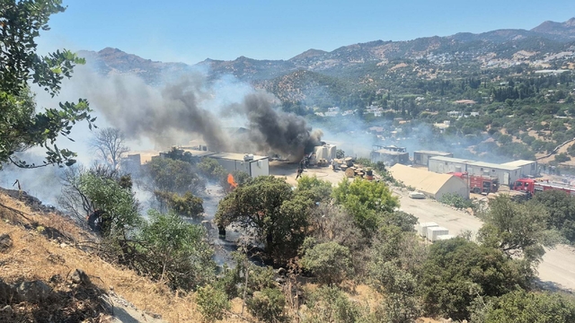 Bodrum'da konteynerde çıkan yangın makilik alana sıçradı