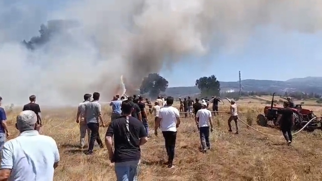 Bursa'da, anız yangınında 3 dönüm alan zarar gördü