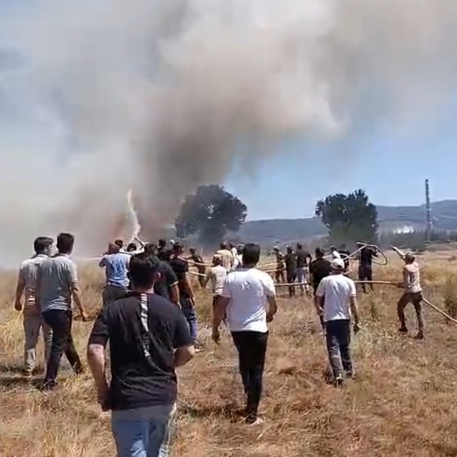 Bursa'da, anız yangınında 3 dönüm alan zarar gördü
