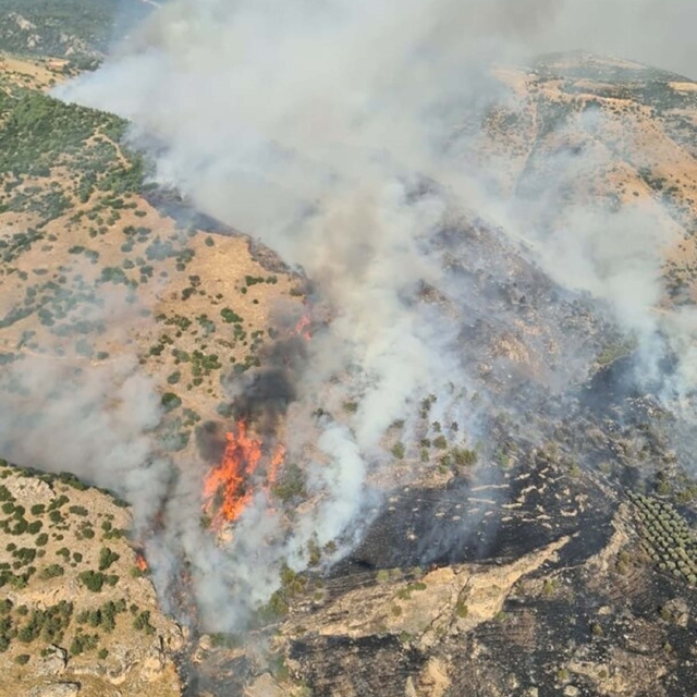 Pamukkale'de orman yangını