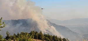 Pamukkale'de orman yangını (2)