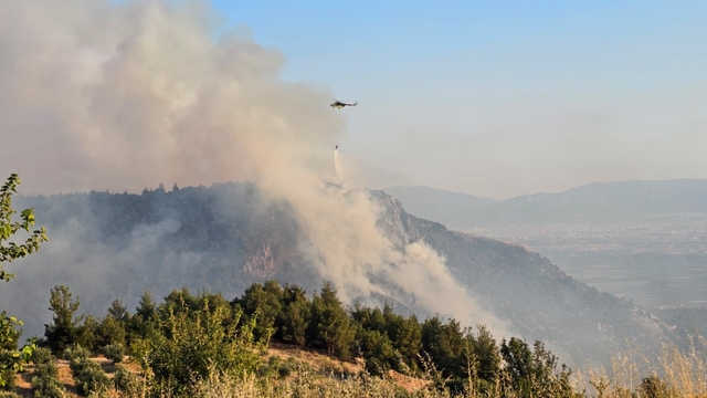 Pamukkale'de orman yangını (2)