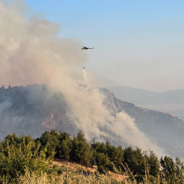 Pamukkale'de orman yangını (2)