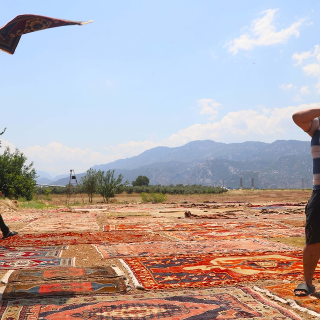 Eski halılar Antalya'nın güneşinde değer kazanıyor, 5 bin dolara alıcı bulu...