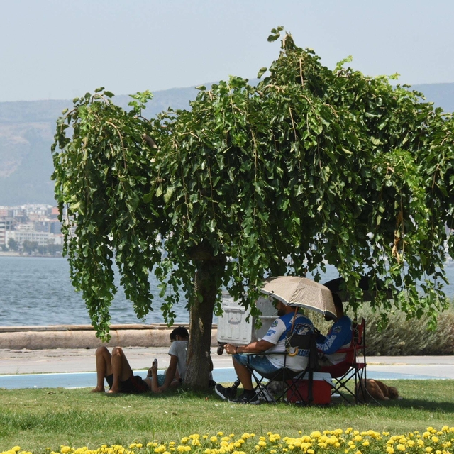 Prof. Dr. Yaşar: İzmir'de bu yaz büyük bir sıcaklık olmayacak