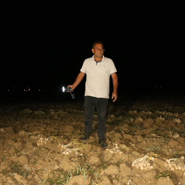 Çiftçilerin "beyaz altın" nöbeti: Bir yıllık emekleri için sabaha kadar tar...