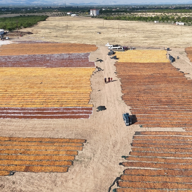 Kayısının kurutulma yolculuğu havadan görüntülendi