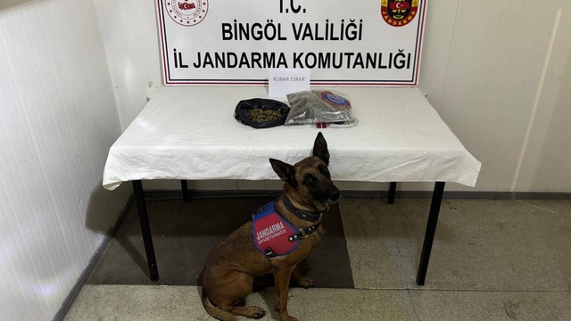 Bingöl'de haklarında kesinleşmiş hapis cezası bulunan 4 zanlı tutuklandı