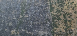 Pamukkale'de orman yangını kontrol altına alındı