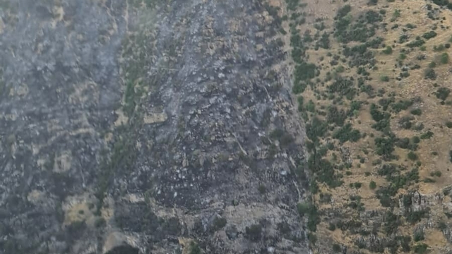 Pamukkale'de orman yangını kontrol altına alındı