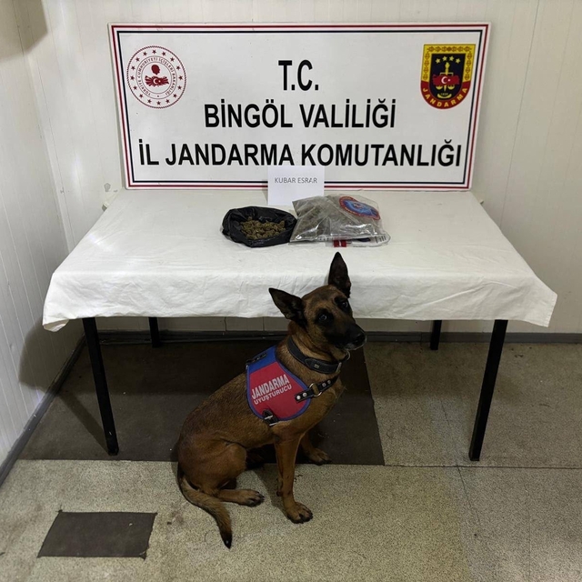 Bingöl'de haklarında kesinleşmiş hapis cezası bulunan 4 zanlı tutuklandı