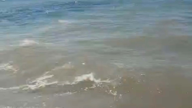 Bodrum'da deniz kirliliği; soruşturma başlatıldı
