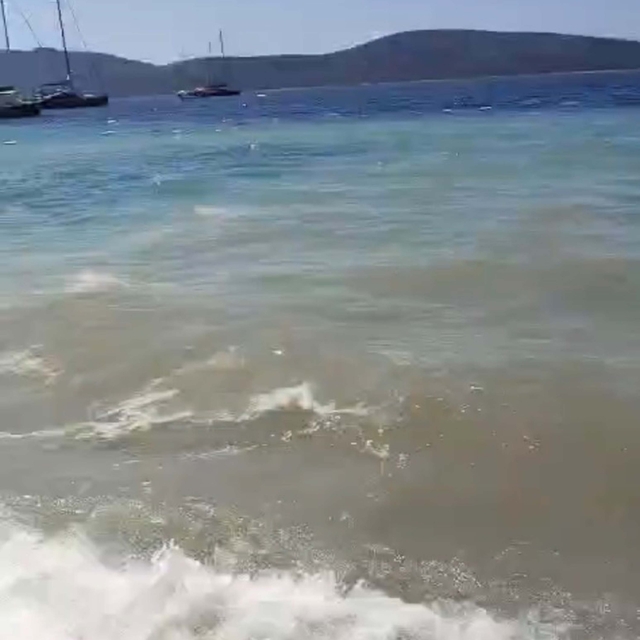 Bodrum'da deniz kirliliği; soruşturma başlatıldı
