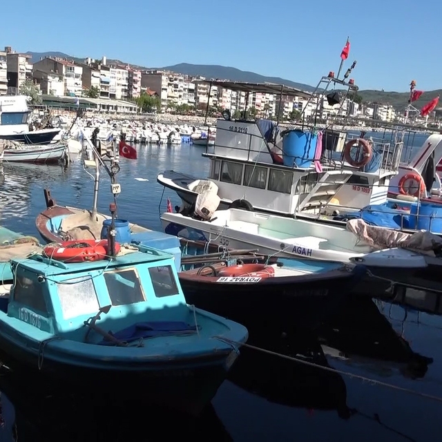 Marmara'nın emektar balıkçıları, müsilaj ve bilinçsiz avlanmadan şikayetçi
