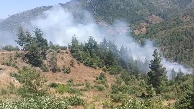 Adana'da orman yangını