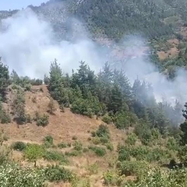 Adana'da orman yangını