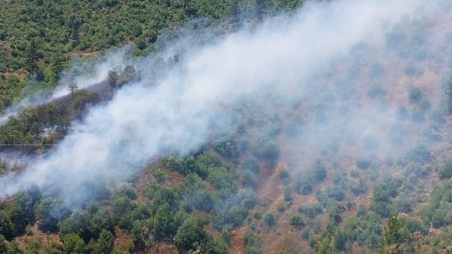 Adana'da orman yangını