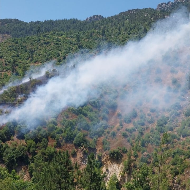 Adana'da orman yangını
