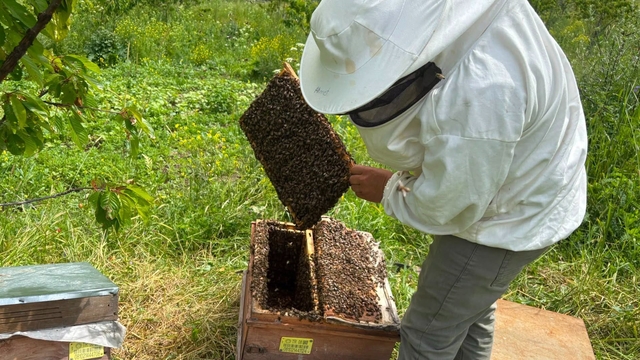 Artvin'de bal hasat sezonu öncesi üreticilerle buluşma