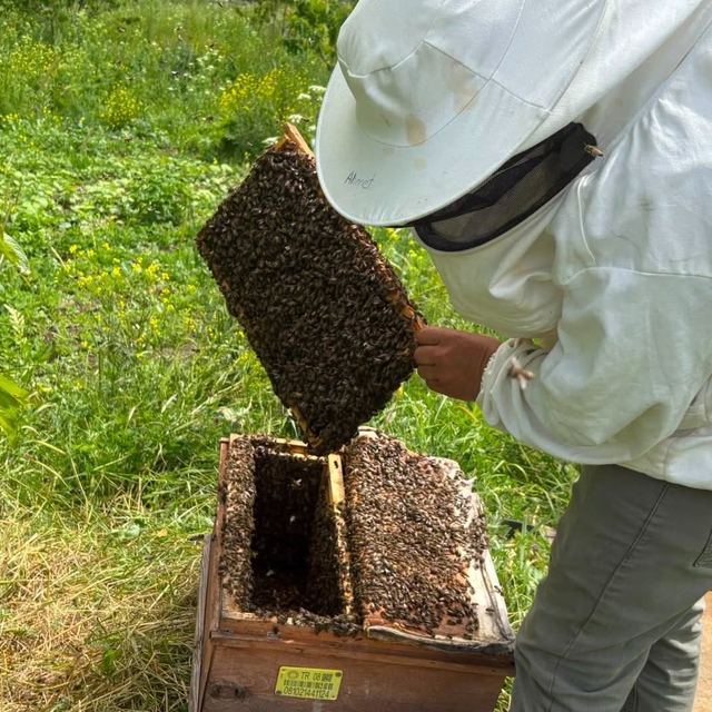 Artvin'de bal hasat sezonu öncesi üreticilerle buluşma