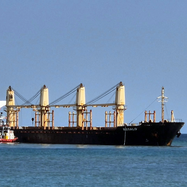 Tekirdağ açıklarında kuru yük gemisi karaya oturdu