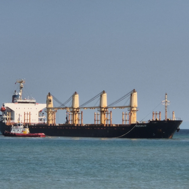 Tekirdağ'da 169 metrelik gemi karaya oturdu
Tekirdağ açıklarında karaya otu...