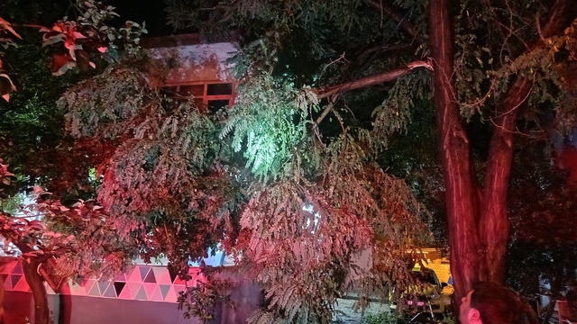 Erdek'te fırtına ve dolu yağışı: Ağaçlar devrildi, çatılar uçtu