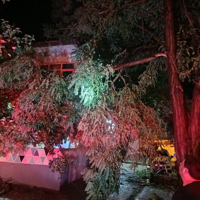 Erdek'te fırtına ve dolu yağışı: Ağaçlar devrildi, çatılar uçtu