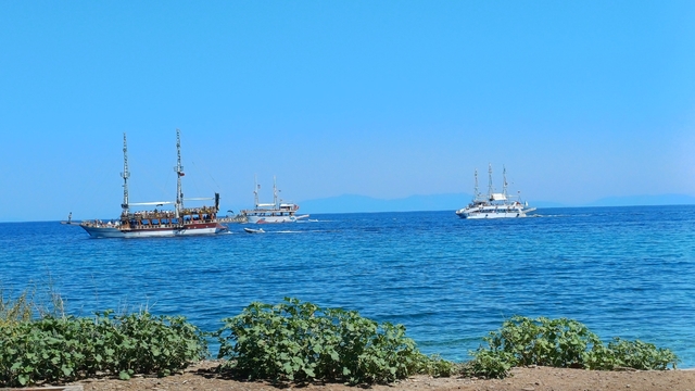 Kuşadası'nda tekne turlarına yoğun ilgi