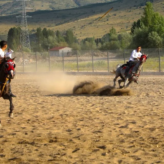 Bayburt'ta ciritçiler 15 Temmuz için sahaya çıktı