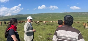 Tarım ve Orman Müdürü Enver Aydın, 2 bin 500 rakımlı Susuz Yaylası'nda üret...
