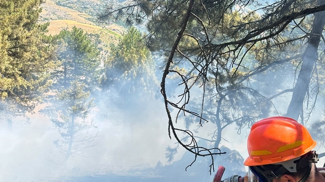 Saimbeyli'de çıkan orman yangını kontrol altına alındı