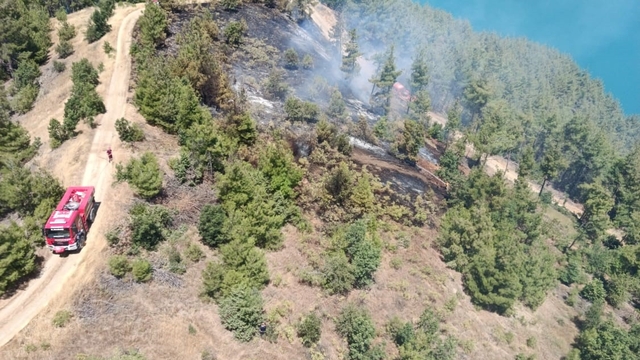 Kahramanmaraş'ta orman yangını
