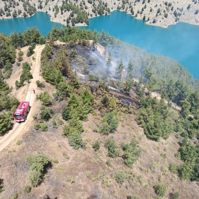 Kahramanmaraş'ta orman yangını